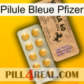 Pfizer Blue Pill 41